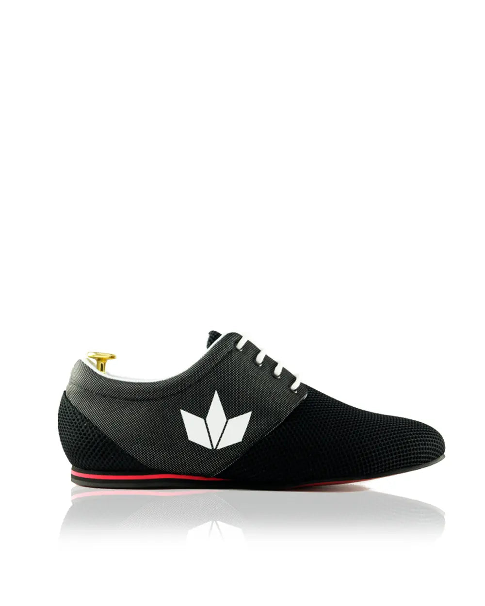 Zapatos de baile para hombre Daniel Sport Evo BW